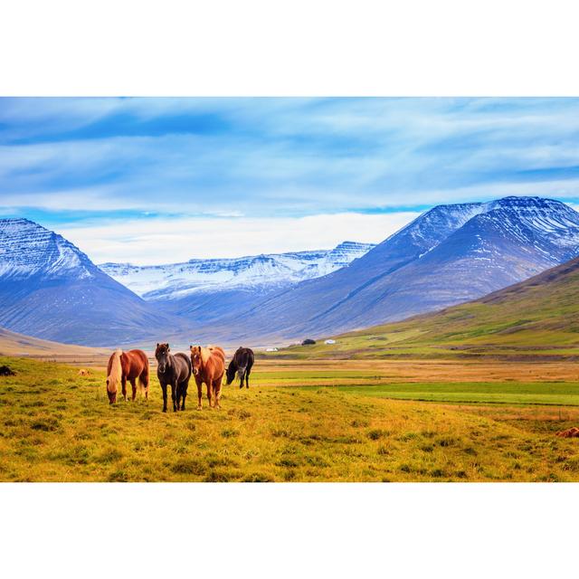 Icelandic Ponies - Wrapped Canvas Print Union Rustic Size: 30cm H x 46cm W x 3.8cm D on Productcaster.