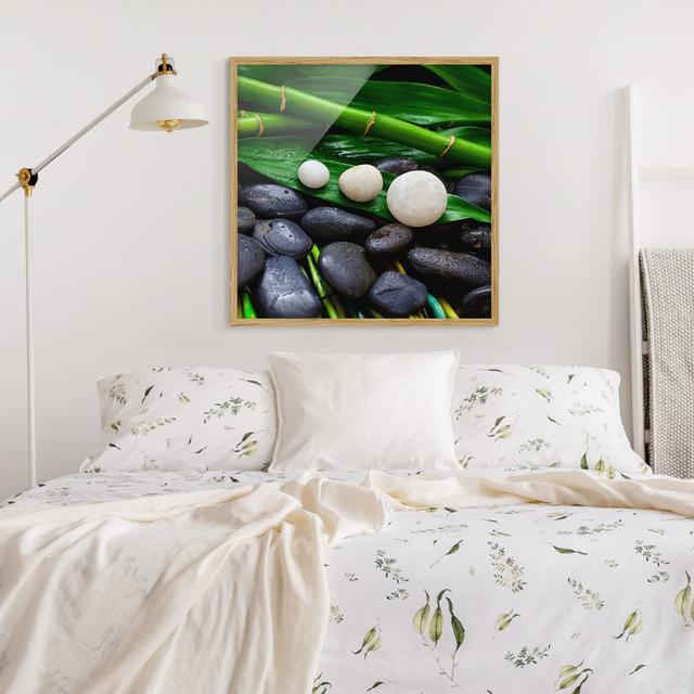 Green Bamboo with Zen Stones - Picture Frame Graphic Art Bloomsbury Market Frame Option: Brown, Size: 50cm H x 50cm W x 2cm D on Productcaster.