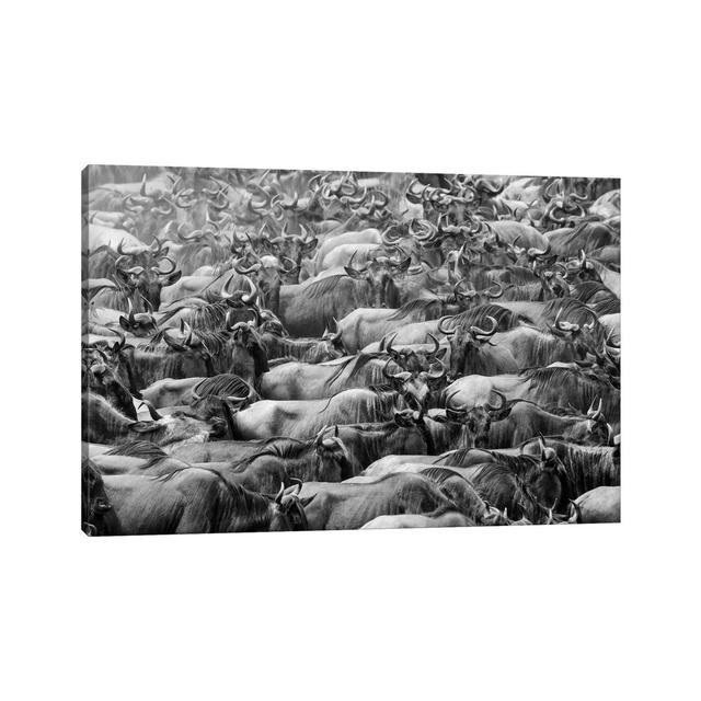 Wildbeests by Henry Zhao - Wrapped Canvas Graphic Art Union Rustic Size: 66.04cm H x 101.6cm W x 3.81cm D on Productcaster.