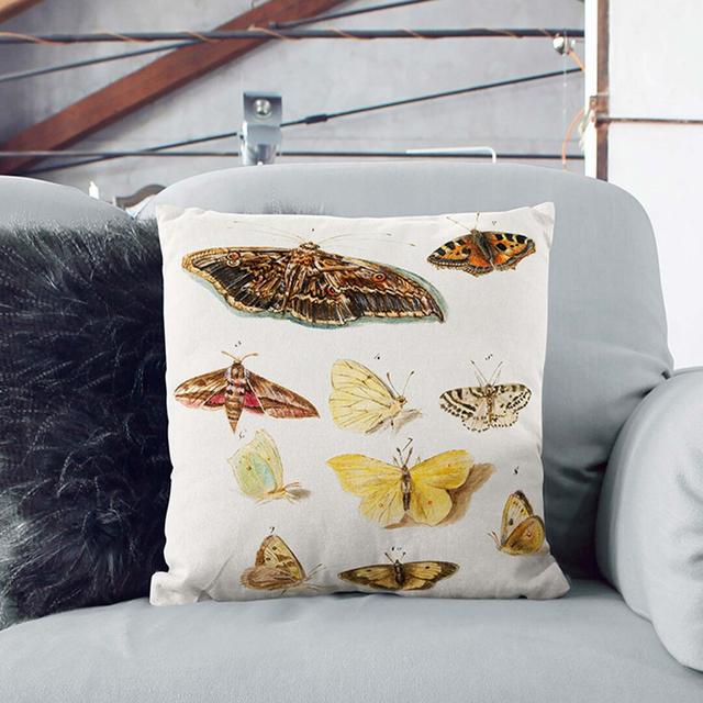 Butterflies And Moths Square Throw Cushion East Urban Home Size: 40cm H x 40cm W x 15cm D, Backing Colour: Stone on Productcaster.