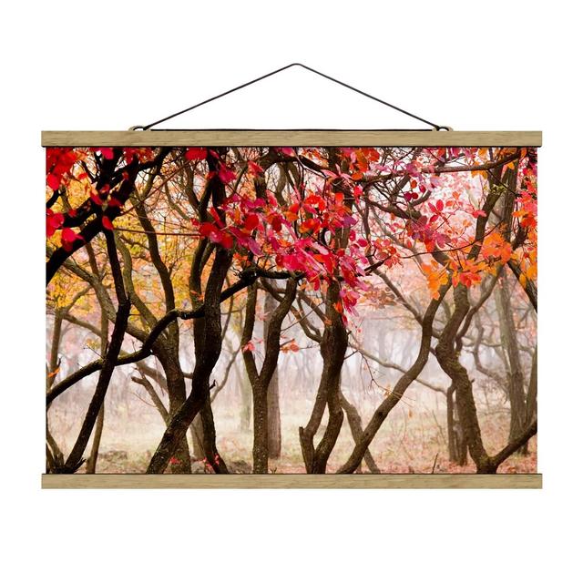 Fotodruck Japan in Autumn Rosalind Wheeler Größe: 33,5 cm H x 50 cm B x 0,3 cm T on Productcaster.