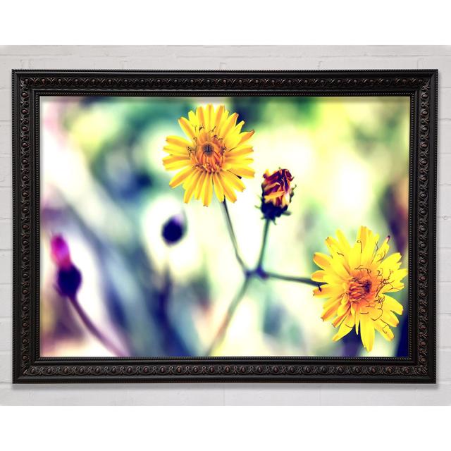 Weed Or Flower Framed Print Ebern Designs Size: 29.7cm H x 42cm W on Productcaster.