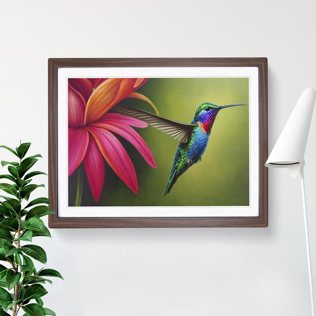 Floral Hummingbird Vol.1 - Picture Frame Graphic Art 17 Stories Frame Colour: Walnut, Size: 34cm H x 46cm W x 2cm D on Productcaster.