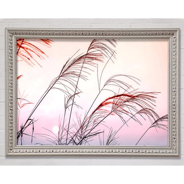 Grass Sunset - Print Bright Star Size: 100cm H x 141.4cm W on Productcaster.