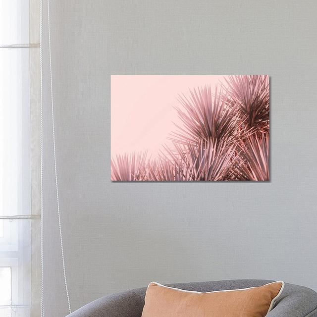 Boho Pink Palms by Ann Hudec - Wrapped Canvas Print 17 Stories Size: 45.72cm H x 66.04cm W x 1.905cm D on Productcaster.