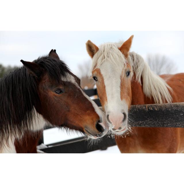 Two Winter Horses In Love by Driftlessstudio - No Frame Art Prints on Canvas Alpen Home Size: 61cm H x 91cm W on Productcaster.