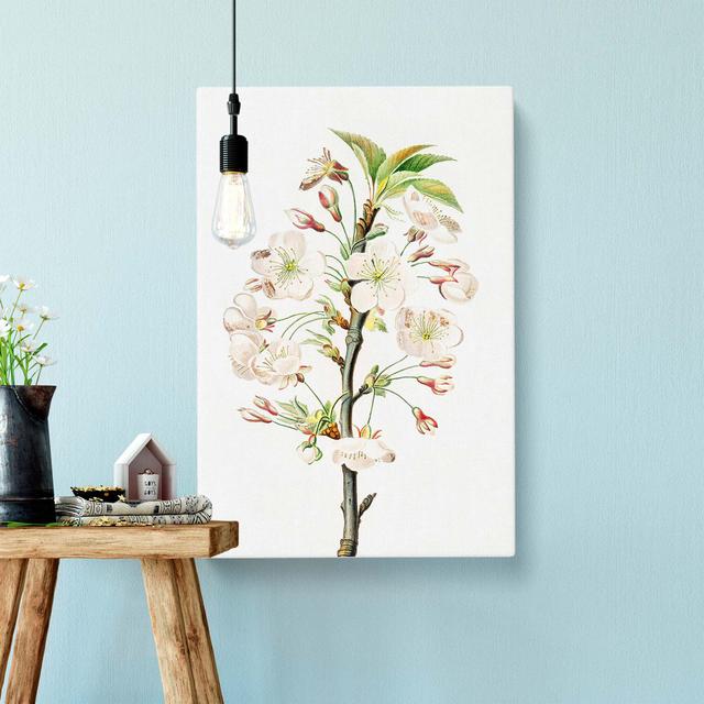 Pear Tree Flowers by Giorgio Gallesio - Wrapped Canvas Print East Urban Home Size: 50cm H x 35cm W x 3cm D on Productcaster.