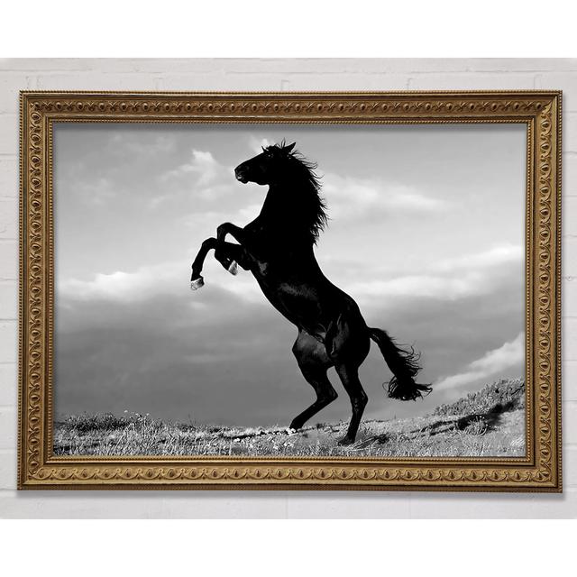 Gold Wild Stallion - Print Gracie Oaks Size: 42cm H x 59.7cm W on Productcaster.