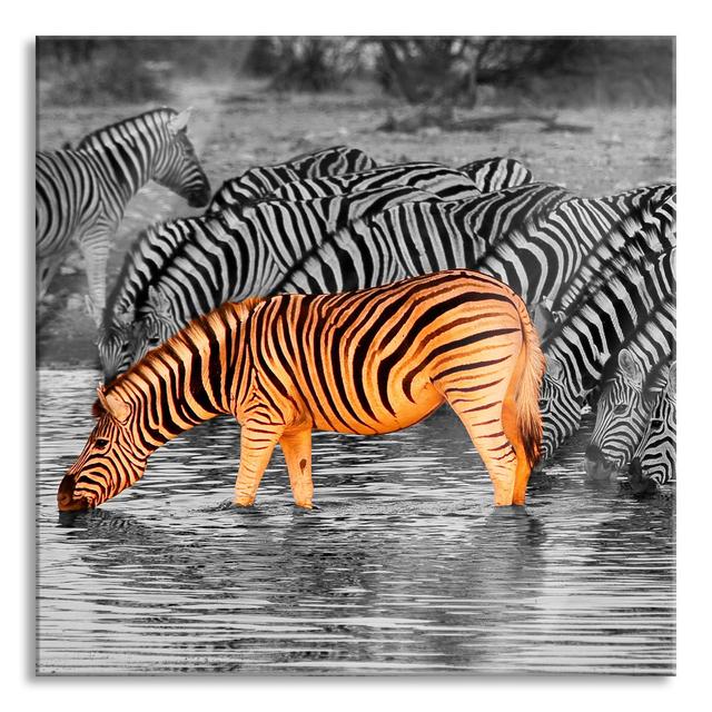 Glasbild Zebras an der Wasserstelle 17 Stories Größe: 60 cm H x 60 cm B x 0.4 cm T on Productcaster.