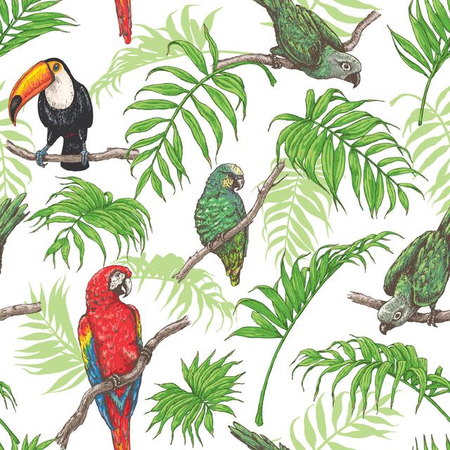 Adaure Parrots And Toucan by Val_Iva - Print Bay Isle Home Size: 76cm H x 76cm W x 3.8cm D on Productcaster.