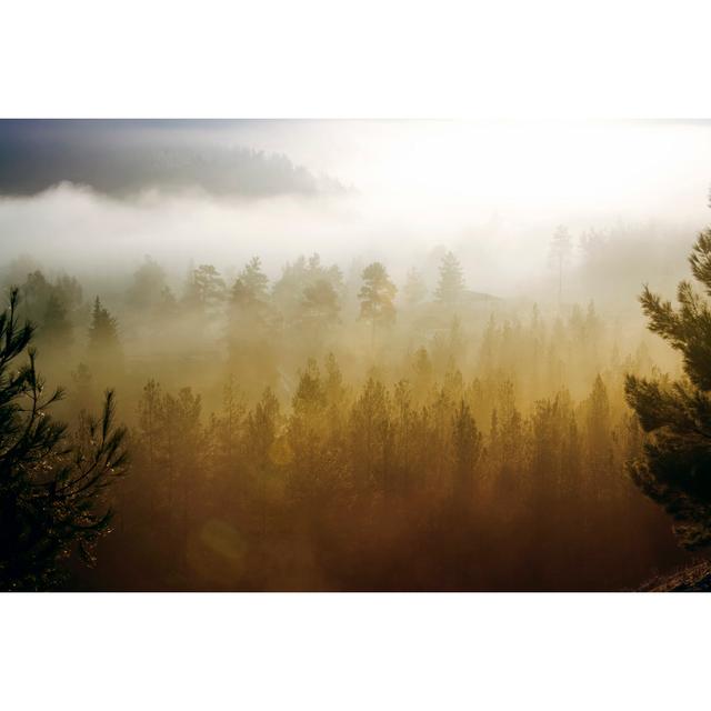 Misty Landscape by Barcin - Print Alpen Home Size: 20cm H x 30cm W on Productcaster.