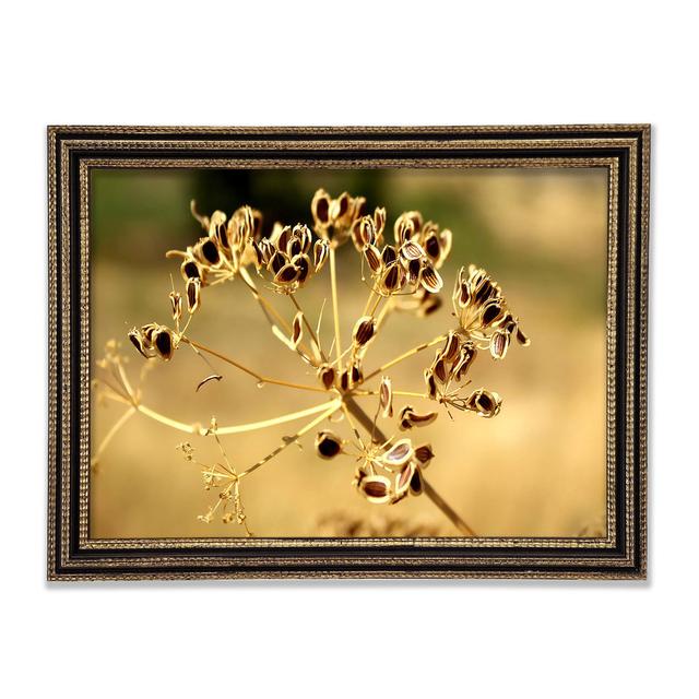 Winter Framed Print Ebern Designs Size: 42cm H x 59.7cm W x 3cm D on Productcaster.