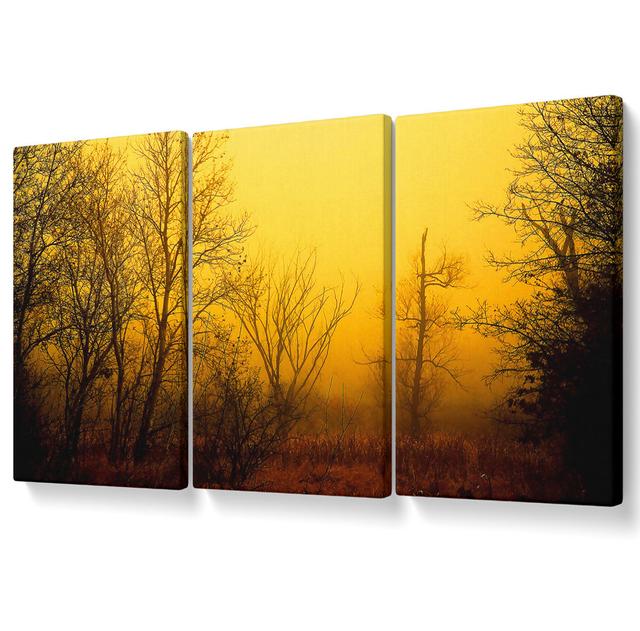 Stunning Golden Light in the Winter Forest - 3 Piece Wrapped Canvas Graphic Art Union Rustic Size: 142.2cm H x 304.8cm W on Productcaster.