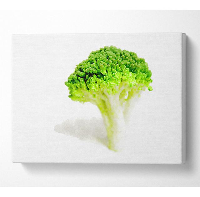 Brocolli Stem - Print ClassicLiving Size: 35.6cm H x 50.8cm W x 10cm D on Productcaster.