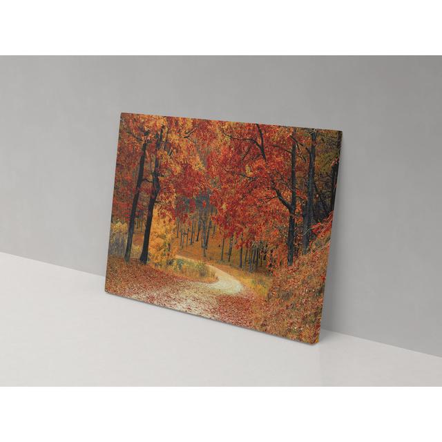 Autumnal Walk - Wrapped Canvas Print ClassicLiving Size: 52cm H x 82cm W x 4cm D on Productcaster.