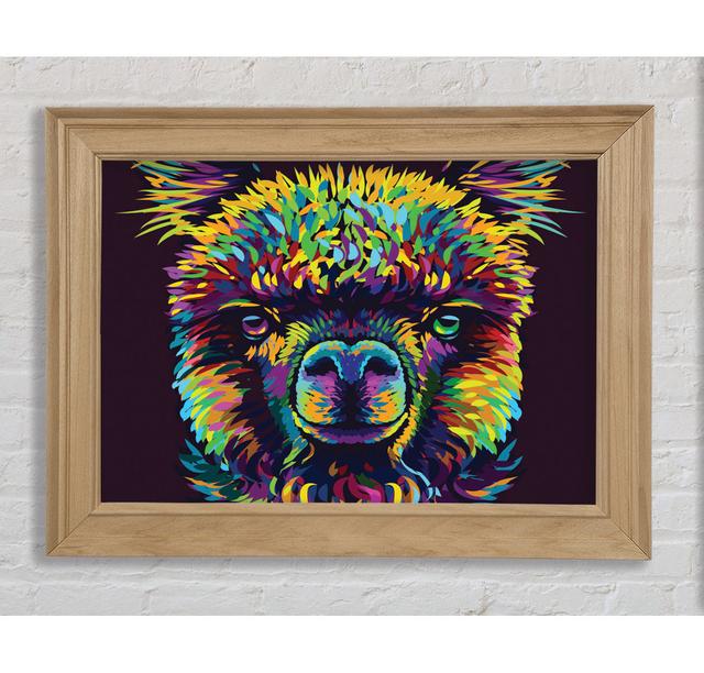 Alpaca In Colour - Print Bright Star Size: 42cm H x 59.7cm W x 8cm D on Productcaster.