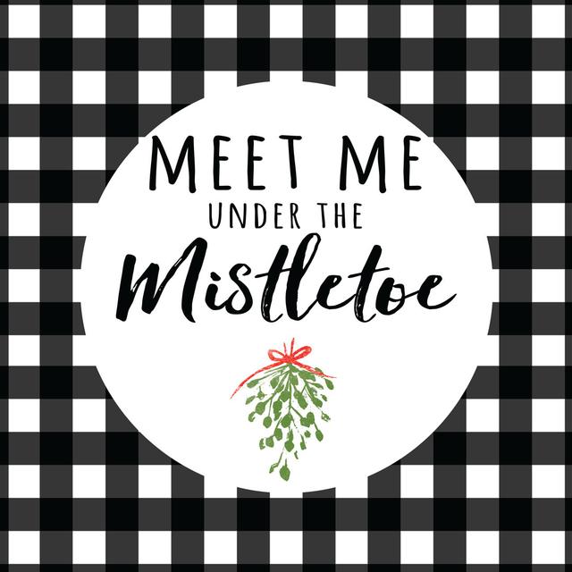 Meet Me under the Mistletoe Black Check - Wrapped Canvas Typography The Seasonal Aisle Size: 91cm H x 91cm W x 3.8cm D on Productcaster.