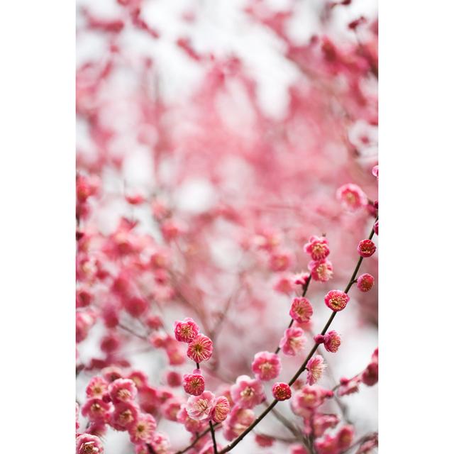 Red plum blossoms 17 Stories Size: 46cm H x 30cm W on Productcaster.