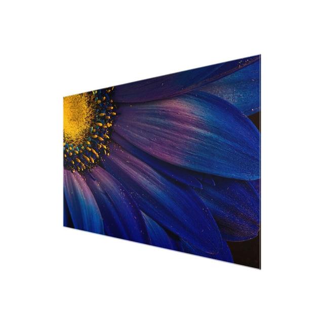 'Blue Gerbera' Graphic Art on Glass East Urban Home Size: 40 cm H x 60 cm W on Productcaster.