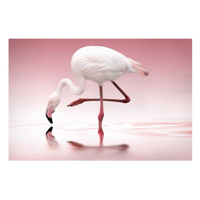 Flamingo Dance - Wrapped Canvas Art Print 17 Stories Format: Canvas 260g/m², Size: 120cm H x 180cm W on Productcaster.