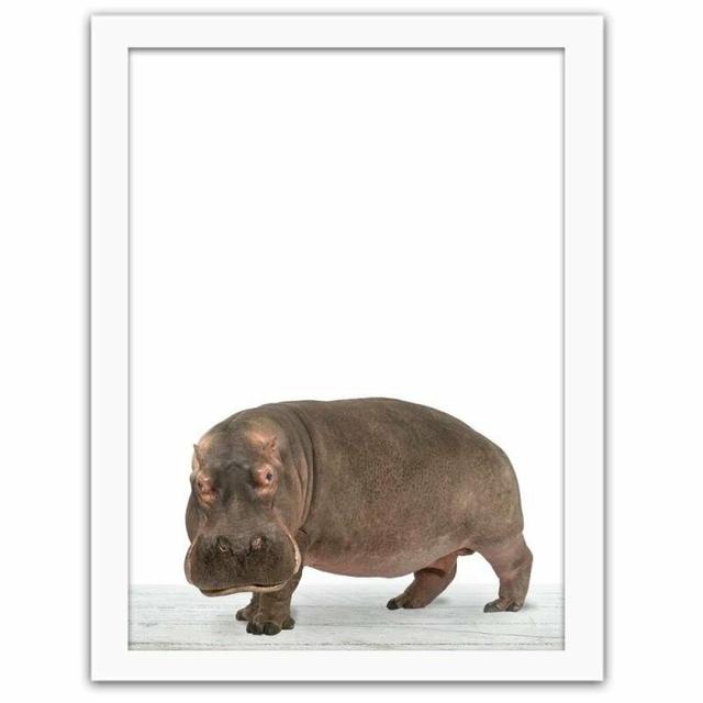 Gerahmter Fotodruck Hippopotamus World Menagerie Größe: 50 cm H x 40 cm B x 3 cm T on Productcaster.