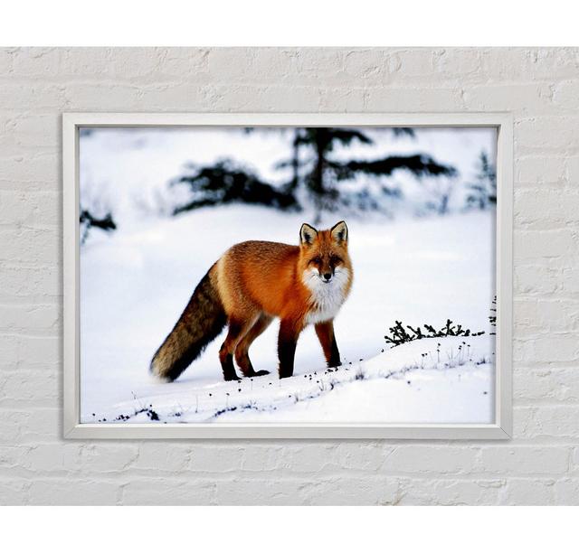 Arctic Fox In Snow - Single Picture Frame Art Prints on Canvas Bright Star Size: 84.1cm H x 118.9cm W x 3.3cm D on Productcaster.