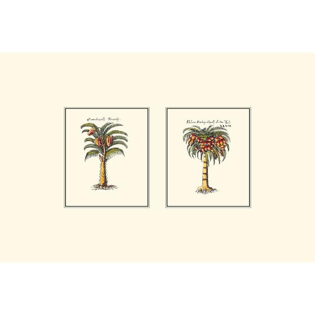 Miniature Palm II - Wrapped Canvas Painting Bay Isle Home Size: 20cm H x 30cm W on Productcaster.