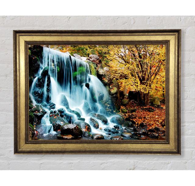 Single Picture Frame Art Prints Bright Star Size: 21cm H x 42cm W on Productcaster.