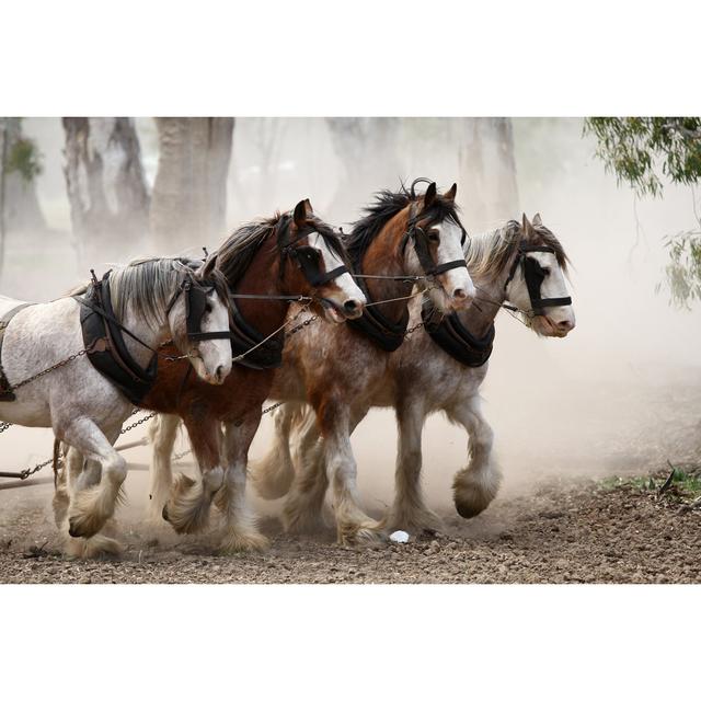 Horses by Shazzashaw - Wrapped Canvas Art Prints Natur Pur Size: 50cm H x 75cm W on Productcaster.