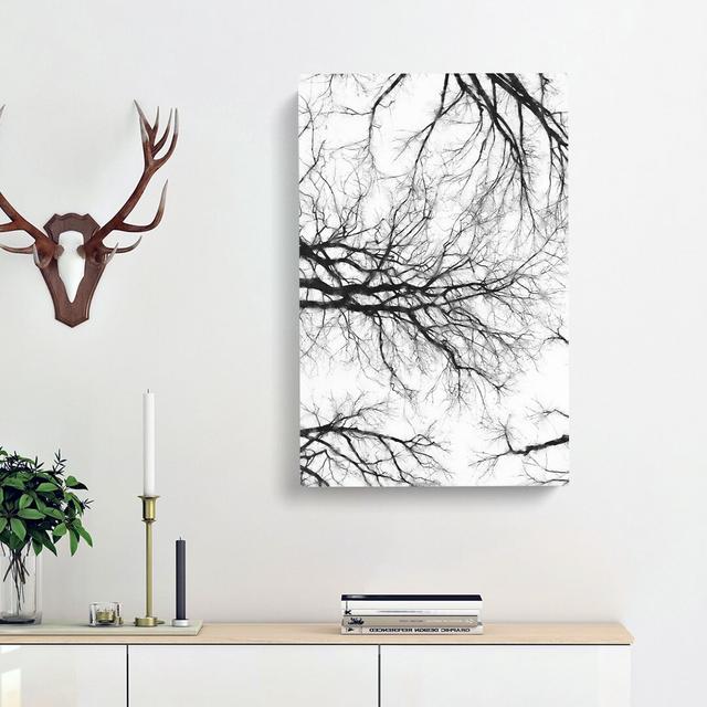 Tree Branches in Central Park New York - Wrapped Canvas Painting Print East Urban Home Size: 60cm H x 40cm W x 3cm D on Productcaster.