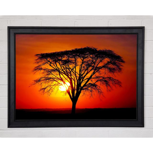 Sunset Through The Trees - Print Ebern Designs Size: 84.1cm H x 118.9cm W x 1.5cm D on Productcaster.