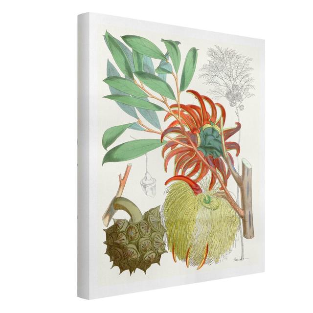 Tropical Flowers II - Wrapped Canvas Graphic Art Bay Isle Home Format: 330g/m³ Recycled Canvas, Size: 40cm H x 30cm W on Productcaster.