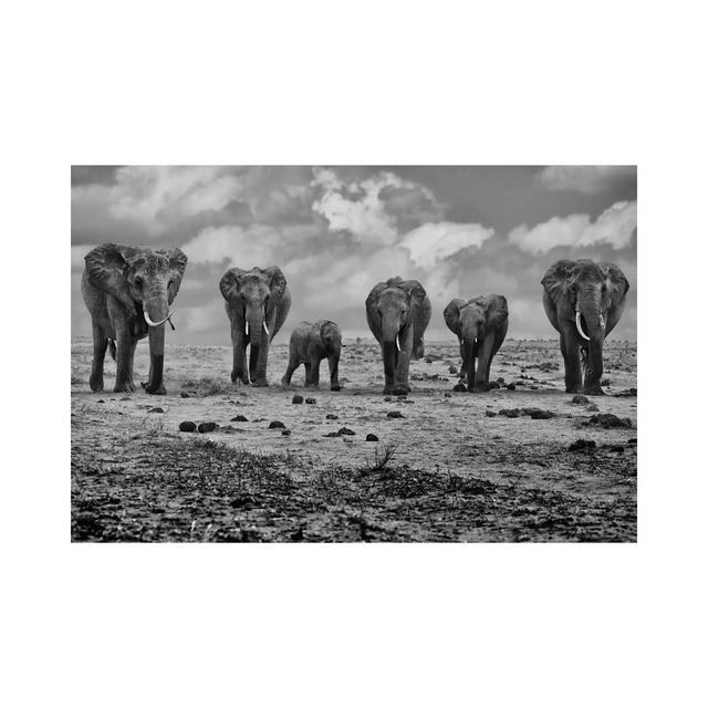 Big Family by Marcel Rebro - Gallery-Wrapped Canvas Giclée on Canvas Ebern Designs Format: Canvas, Size: 20.32cm H x 30.48cm W x 1.905cm D on Productcaster.