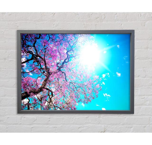 Blooming Spring Framed Print Bright Star Size: 100cm H x 141.4cm W x 3.3cm D on Productcaster.