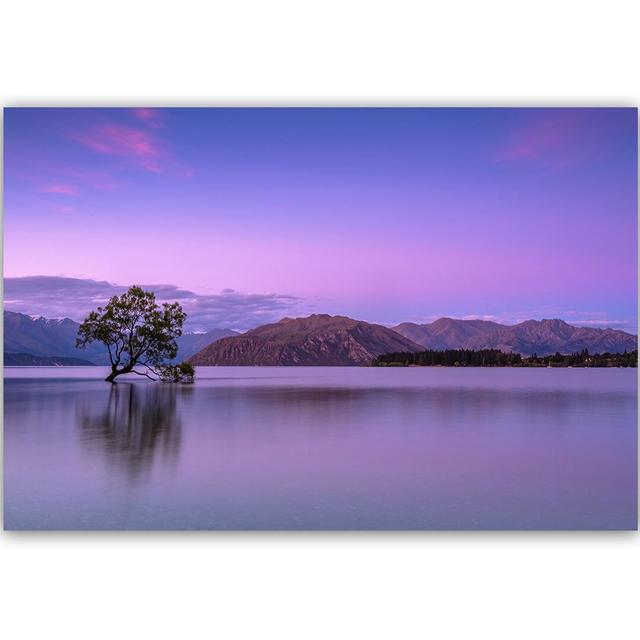 Leinwandbild Baum am See ModernMoments Größe: 40 cm H x 60 cm B on Productcaster.