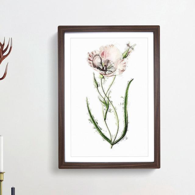 Pink Mariposa Lily Flowers - Picture Frame Painting Print East Urban Home Size: 48cm H x 36cm W x 2cm D, Frame Option: Walnut Framed on Productcaster.