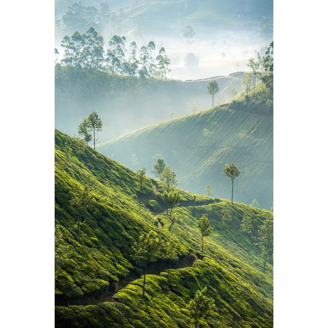 Tea Plantations In Munnar - Wrapped Canvas Print Alpen Home Size: 122cm H x 81cm W x 3.8cm D on Productcaster.