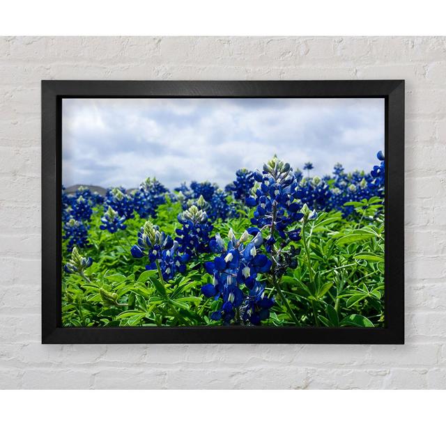 Bue Flowers On Green Stems - Single Picture Frame Art Prints Bright Star Size: 100cm H x 141.4cm W x 3.4cm D on Productcaster.