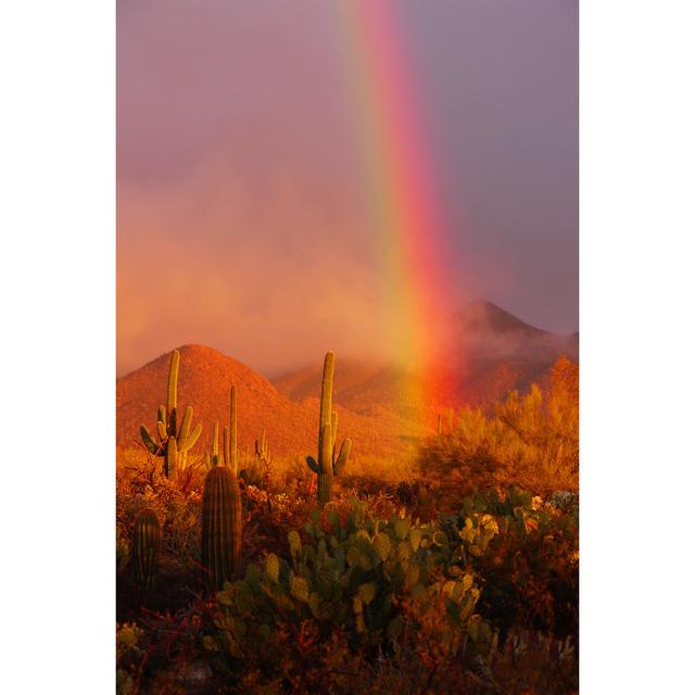 Adriane Rainbow Sunset - Wrapped Canvas Photograph 17 Stories Size: 30cm H x 20cm W x 3.8cm D on Productcaster.