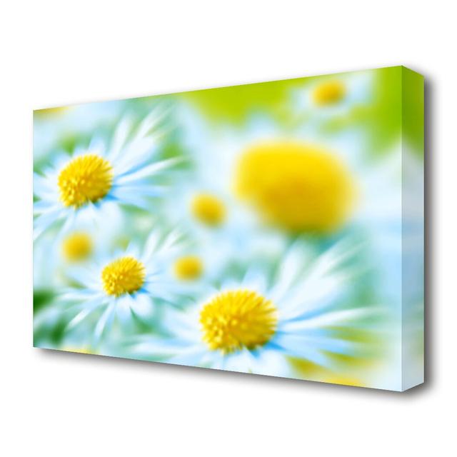 Soft Hue Of White Daisies Flowers Canvas Print Wall Art East Urban Home Size: 81.3 cm H x 121.9 cm W on Productcaster.