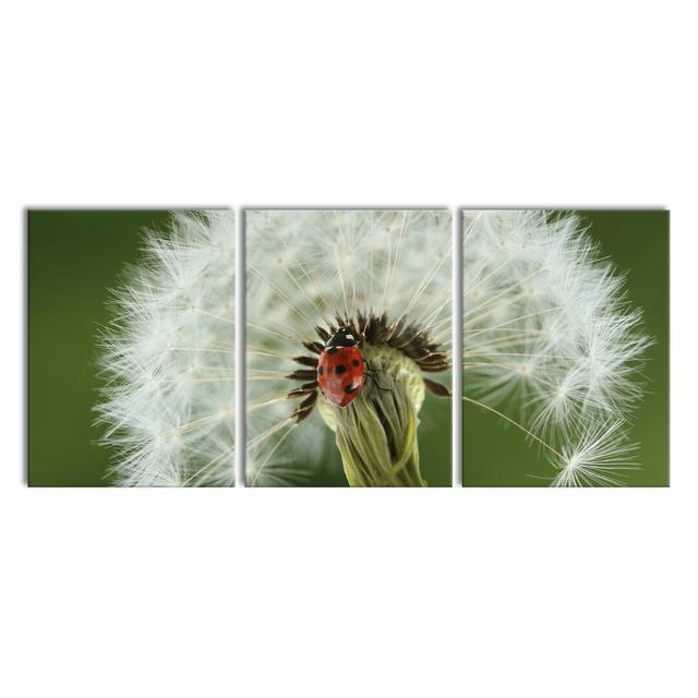 Ladybug on Dandelion in White and Green - 3 Piece Art Print on Canvas East Urban Home Size: 80cm H x 180cm W on Productcaster.