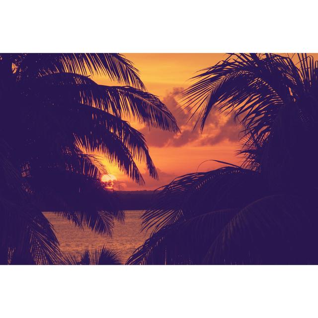 Sunset Through Palm Tree - Wrapped Canvas Photograph Bay Isle Home Size: 61cm H x 91cm W x 3.8cm D on Productcaster.