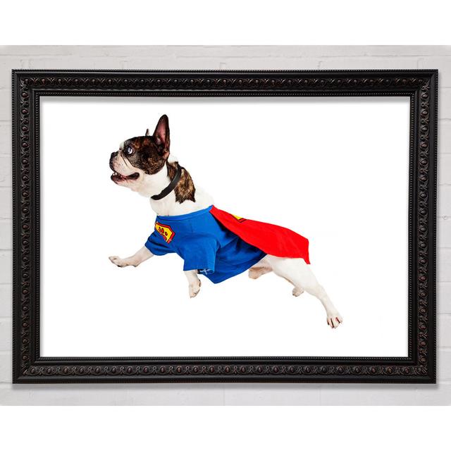 Super Dog - Single Picture Frame Art Prints Bright Star Size: 84.1cm H x 118.9cm W on Productcaster.