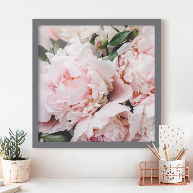 Peonies Light Pink - Picture Frame Graphic Art Mercer41 Size: 70cm H x 70cm W x 2cm D, Frame Option: Grey Framed on Productcaster.