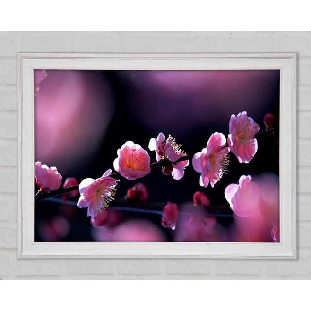 Pink Blossom Flowers Framed Print Brayden Studio Size: 42cm H x 59.7cm W x 1.5cm D on Productcaster.