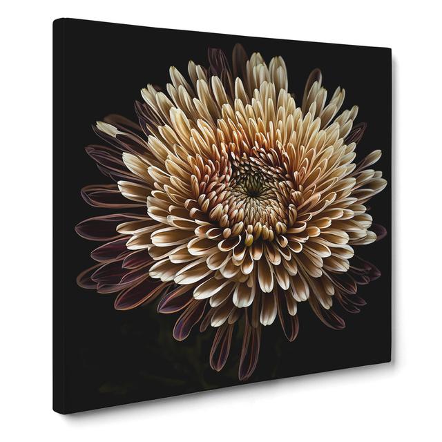 Chrysanthemum Photograph No.1 17 Stories Size: 50cm H x 50cm W x 3cm D on Productcaster.