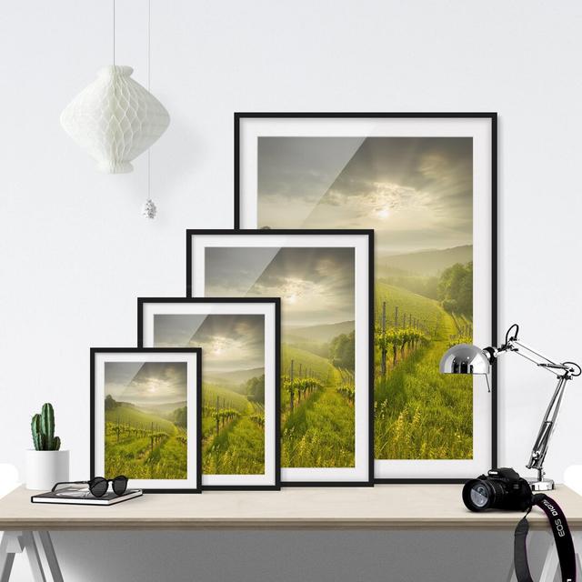 Vineyard Sunbeams - Picture Frame Photograph Print on Paper East Urban Home Frame Options: Matt black, Size: 70cm H x 50cm W on Productcaster.