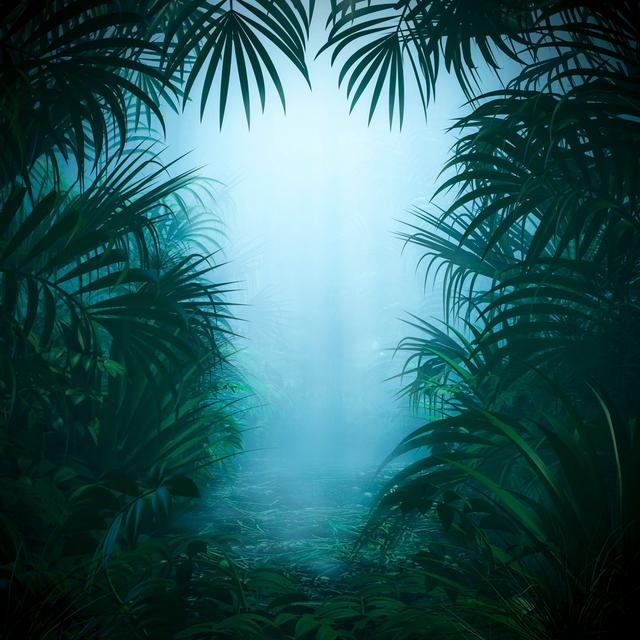 Misty Jungle Nature Frame - Wrapped Canvas Print 17 Stories Size: 51cm H x 51cm W x 3.8cm D on Productcaster.