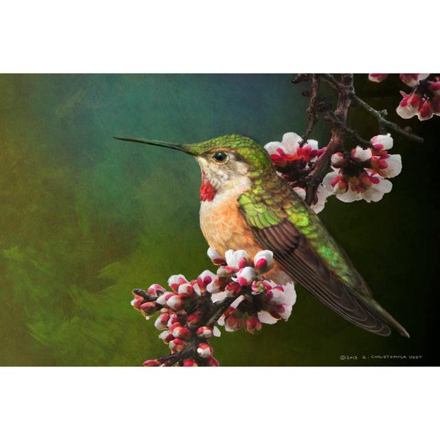 Hummer With Blossoms by Chris Vest - Wrapped Canvas Painting Rosalind Wheeler Size: 30cm H x 46cm W x 3.8cm D on Productcaster.