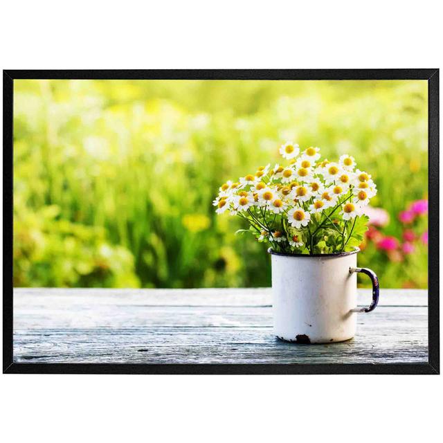 Baltzer Spring Daisies - Print Latitude Run Frame Colour: Black, Size: 25cm H x 31cm W x 4cm D on Productcaster.